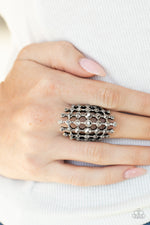 Load image into Gallery viewer, Fiercely Flashy - Silver
